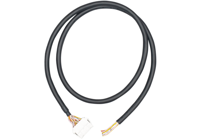 I/O Cable